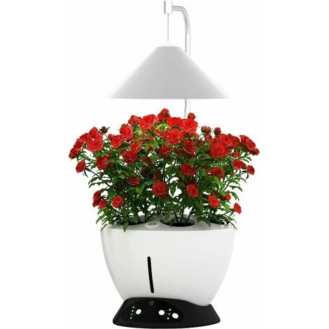 Jardinière Avec Lampe Led Intégrée Le Potager Avec Engrais Liquide + Engrais 1000 Ml 4 Jardinière Avec Lampe Led Intégrée Le Potager Avec Engrais Liquide + Engrais 1000 Ml – Image 2