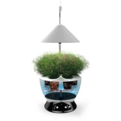 Jardinière Avec Lampe Led Intégrée Le Potager Avec Engrais Liquide + Engrais 1000 Ml 9 Jardinière Avec Lampe Led Intégrée Le Potager Avec Engrais Liquide + Engrais 1000 Ml -Outsunny Eda Magasin 12683705 3