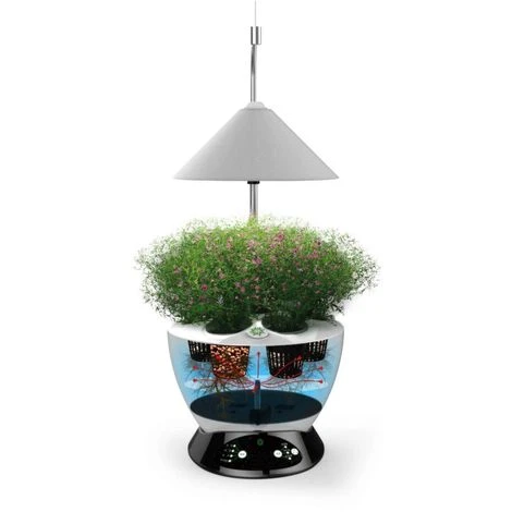 Jardinière Avec Lampe Led Intégrée Le Potager Avec Engrais Liquide + Engrais 1000 Ml 5 Jardinière Avec Lampe Led Intégrée Le Potager Avec Engrais Liquide + Engrais 1000 Ml – Image 3
