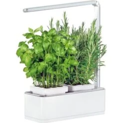 Jardinière Avec Lampe Led Intégrée Mini Potager + Engrais 250 Ml 9 Jardinière Avec Lampe Led Intégrée Mini Potager + Engrais 250 Ml -Outsunny Eda Magasin 12683706 3