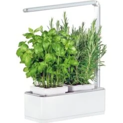Jardinière Avec Lampe Led Intégrée Mini Potager + Engrais 1000 Ml -Outsunny Eda Magasin 12683708 3