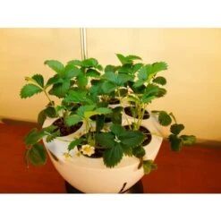 Jardinière Avec Lampe Led Intégrée Le Potager -Outsunny Eda Magasin 1813835 5