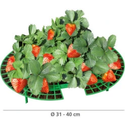 WENKO Support Fraisier, Support Jardinage Anti Limaces Et Escargots, Lot De 15, Plastique Résistant, Diamètre Réglable 31 à 40 Cm, Vert -Outsunny Eda Magasin 19259727 3