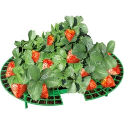 WENKO Support Fraisier, Support Jardinage Anti Limaces Et Escargots, Lot De 15, Plastique Résistant, Diamètre Réglable 31 à 40 Cm, Vert -Outsunny Eda Magasin 19259727 4