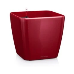 Pot Quadro Premium 21 Lechuza Kit Complet 21 Cm - Espresso Métallisé -Outsunny Eda Magasin 28507779 3