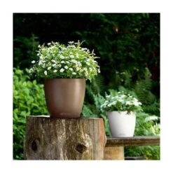 Pot Classico Color 21 Lechuza Kit Complet Gris Ardoise - 21 Cm -Outsunny Eda Magasin 28507993 5