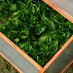 OUTSUNNY Mini Serre De Jardin Serre à Tomates Dim. 90L X 80l X 58H Cm Toits Ouvrables Panneaux De Polycarbonate Bois Sapin Pré-huilé -Outsunny Eda Magasin 30030770 5