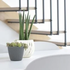 Prosperplast Splofy Pot Rond 5L Ø 21,8 X 18,4 Cm Blanc -Outsunny Eda Magasin 30806931 4