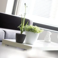 Prosperplast Splofy Pot Rond 5L Ø 21,8 X 18,4 Cm Blanc -Outsunny Eda Magasin 30806931 5