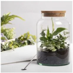 Bouteille Terrarium Avec Couvercle - 7 L - Livraison Gratuite -Outsunny Eda Magasin 32387504 3