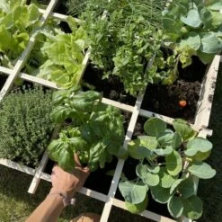 Carré Potager 90x90cm. Epeautre - Potager En Bois -Outsunny Eda Magasin 32936666 4