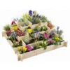 Carré Potager Pyramide KEO En Bois 4 étages Bac à Fleurs 100 CM -Outsunny Eda Magasin 34738989 1