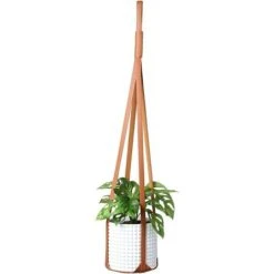 Pot De Fleur Suspendu - PU Cuir Pot De Fleur Plante Suspendu, Pot De Fleur Plante Suspension Support Pot Suspendu, Pour Interieur Et Ext&eacuterieur Suspendue D&eacutecoration Balcon Murale，marron