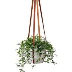 Pot De Fleur Suspendu - PU Cuir Pot De Fleur Plante Suspendu, Pot De Fleur Plante Suspension Support Pot Suspendu, Pour Interieur Et Ext&eacuterieur Suspendue D&eacutecoration Balcon Murale，marron -Outsunny Eda Magasin 35559118 4
