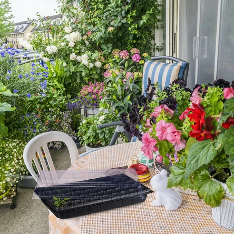 Relaxdays Bac à Semis, Lot De 3, Mini Serre Pour Rebord De Fenêtre, Plantation, 50 Compartiments, HLP 12x56x29 Cm, Noir 4 Relaxdays Bac à Semis, Lot De 3, Mini Serre Pour Rebord De Fenêtre, Plantation, 50 Compartiments, HLP 12x56x29 Cm, Noir – Image 2