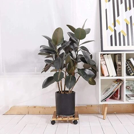 2 X Chariot De Plantes En Bois 30 X 30 X 8cm Soucoupe Pot Fleur Roulettes Support Plante Bois Roulant Capacité De Charge 60kg 5 2 X Chariot De Plantes En Bois 30 X 30 X 8cm Soucoupe Pot Fleur Roulettes Support Plante Bois Roulant Capacité De Charge 60kg – Image 3