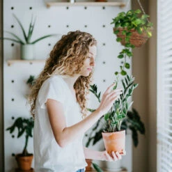 Relaxdays Suspension Pour Plantes, Lot De 3, Panier Tressé En Rotin, Fait Main, Pot De Fleur HxD 16 X 31 Cm, Vert-brun 9 Relaxdays Suspension Pour Plantes, Lot De 3, Panier Tressé En Rotin, Fait Main, Pot De Fleur HxD 16 X 31 Cm, Vert-brun -Outsunny Eda Magasin 39578997 3