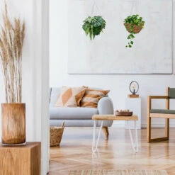 Relaxdays Suspension Pour Plantes, Lot De 3, Panier Tressé En Rotin, Fait Main, Pot De Fleur HxD 16 X 31 Cm, Vert-brun 11 Relaxdays Suspension Pour Plantes, Lot De 3, Panier Tressé En Rotin, Fait Main, Pot De Fleur HxD 16 X 31 Cm, Vert-brun -Outsunny Eda Magasin 39578997 5