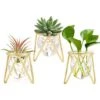 Porte-plantes Aériennes Décor En Métal Doré Pour La Maison Ensemble De 3 Mini-jardinières Géométriques Terrariums Vase En Verre Tillandsia Présentoirs Pour Femmes Vases Hydroponiques Pour Bureau (Gold 1 Porte-plantes Aériennes Décor En Métal Doré Pour La Maison Ensemble De 3 Mini-jardinières Géométriques Terrariums Vase En Verre Tillandsia Présentoirs Pour Femmes Vases Hydroponiques Pour Bureau (Gold -Outsunny Eda Magasin 40102778 1