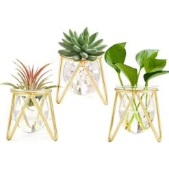 Porte-plantes Aériennes Décor En Métal Doré Pour La Maison Ensemble De 3 Mini-jardinières Géométriques Terrariums Vase En Verre Tillandsia Présentoirs Pour Femmes Vases Hydroponiques Pour Bureau (Gold