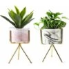 Succulent Plant Pots,Support Pour Plantes,Pot De Succulent Avec Plateau,Cactus Plante Planteur De Céramique,Jardinière Contenant Décoration,Présentoir De Pot De Fleur Triomphe 2 Pcs -Outsunny Eda Magasin 46888918 1