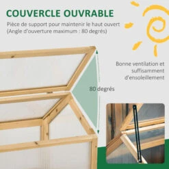 OUTSUNNY Mini Serre De Jardin Serre à Tomates Dim. 90L X 52l X 49,5H Cm Toit Ouvrable Panneaux De Polycarbonate Bois Sapin Pré-huilé 11 OUTSUNNY Mini Serre De Jardin Serre à Tomates Dim. 90L X 52l X 49,5H Cm Toit Ouvrable Panneaux De Polycarbonate Bois Sapin Pré-huilé -Outsunny Eda Magasin 48873258 5