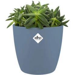 Elho Bac à Fleurs Rond Jardinière Pêche Bleu Or En Plastique Pour Extérieur Jardin Terrasse Pot De Fleurs Blau/2,2 Liter (de)
