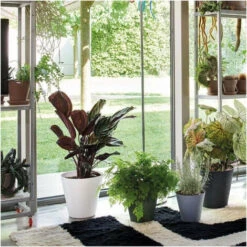 DEROMA Pot De Fleurs Save R Bianco A Réserve D'eau - Coloris Blanc - 20cm -Outsunny Eda Magasin 52174253 4