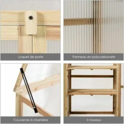 COSTWAY Mini Serre De Jardin 60x45x100CM Vitrages Transparents En Polycarbonate Avec Etagères à 3 Niveaux Pour Jardin/Balcon/Porche -Outsunny Eda Magasin 55462368 4