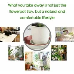 Soucoupes Pour Pots De Fleurs Lot De 6 Soucoupes En Plastique Pour Plantes D'intérieur Et D'extérieur Gris 14 Cm -Outsunny Eda Magasin 59003751 4