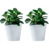 Lot De 2 Pots De Fleurs Muraux En Plastique à Suspendre Pour L'intérieur, L'extérieur, Le Jardin, Le Balcon, , Gris