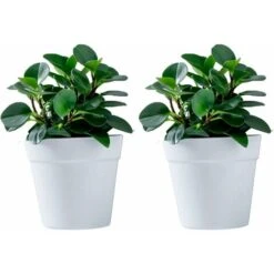Lot De 2 Pots De Fleurs Muraux En Plastique à Suspendre Pour L'intérieur, L'extérieur, Le Jardin, Le Balcon, , Gris