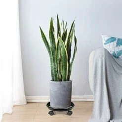 RHAFAYRE Support Moile De Bac à Plantes Avec Roulettes Pour Un Déplacement Facile - Plateau De Jardinière Rond Mobile - Pour Intérieur Et Extérieur - Noir-Diamètre Intérieur à 27cm -Outsunny Eda Magasin 61187186 5