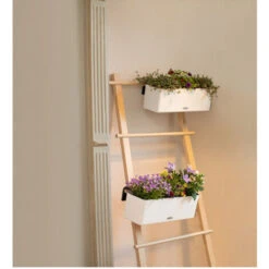 Lechuza Cube Color Triple Blanc Brun