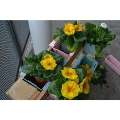 Lot De 6 Jardinières En Plastique Pour Palettes ARTECSIS Bacs à Fleurs Décoration Jardin 9x36.8x9.5cm - Rectangulaire - Gris Béton -Outsunny Eda Magasin 64884642 4