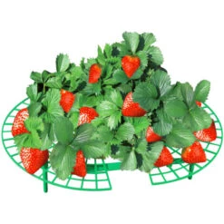 WENKO Support Fraisier, Support Jardinage Anti Limaces Et Escargots, Plastique Résistant, Diamètre Réglable 31 à 40 Cm, Vert -Outsunny Eda Magasin 6580376 4