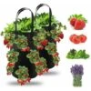 2pcs Sac De Plantation Pour Fraise, Sacs De Culture �� Fraises Suspendu Jardin Avec 13 Trous, Sac De Plantation Pour Fraises, Herbes, Tomates - 3 Gallons (2pcs - Noir) -Outsunny Eda Magasin 73210566 1