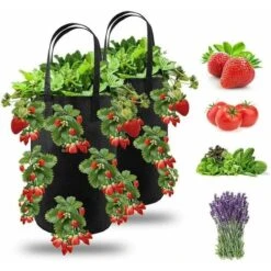 2pcs Sac De Plantation Pour Fraise, Sacs De Culture �� Fraises Suspendu Jardin Avec 13 Trous, Sac De Plantation Pour Fraises, Herbes, Tomates - 3 Gallons (2pcs - Noir)