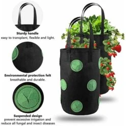 2pcs Sac De Plantation Pour Fraise, Sacs De Culture à Fraises Suspendu Jardin Avec 12 Trous, Sac De Plantation Pour Fraises, Herbes, Tomates - 3 Gallons -Outsunny Eda Magasin 76189045 3
