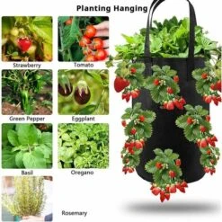 2pcs Sac De Plantation Pour Fraise, Sacs De Culture à Fraises Suspendu Jardin Avec 12 Trous, Sac De Plantation Pour Fraises, Herbes, Tomates - 3 Gallons -Outsunny Eda Magasin 76189045 4