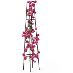 Tuteur Pour Plantes Grimpantes En Métal 200 CM Arche De Jardin Support Rosier