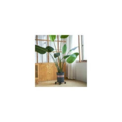 Support �� Roulettes Pour Pot De Fleur ��DITION Noire 25 X 6 Cm I Roule Pot Pour Int��rieur I Support Roulant En Acier, Rev��tement Noir, Avec Bordure I Capacit�� De Charge 60 Kg -Outsunny Eda Magasin 81067564 3