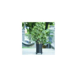 Support �� Roulettes Pour Pot De Fleur ��DITION Noire 25 X 6 Cm I Roule Pot Pour Int��rieur I Support Roulant En Acier, Rev��tement Noir, Avec Bordure I Capacit�� De Charge 60 Kg -Outsunny Eda Magasin 81067564 4