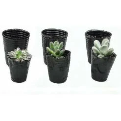 500pcs Pot De Pépinière En Plastique Contenant De Propagation De Plantes 8cmx8cm (Color : B) -Outsunny Eda Magasin 81979400 2