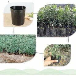 500pcs Pot De Pépinière En Plastique Contenant De Propagation De Plantes 8cmx8cm (Color : B) -Outsunny Eda Magasin 81979400 4