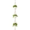 Macramé Plant Hanger 3 Tier Intérieur Extérieur Panier à Planter Suspendu Corde De Coton With Beads 177cm