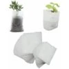 500 Pcs Sacs à Plantes Non Tissé, Sacs Biodégradables Tissu Non Tissé Pour Plantes Semis Sacs De Croissance D'élevage Pour Les Tomates, Les Fleurs, Les Plantes Et Plus - Blanc - 8 × 10 Cm, Versailles 2 500 Pcs Sacs à Plantes Non Tissé, Sacs Biodégradables Tissu Non Tissé Pour Plantes Semis Sacs De Croissance D'élevage Pour Les Tomates, Les Fleurs, Les Plantes Et Plus - Blanc - 8 × 10 Cm, Versailles -Outsunny Eda Magasin 83755131 1