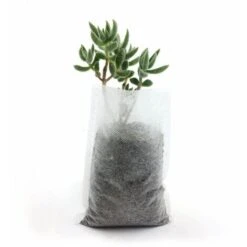 500 Pcs Sacs à Plantes Non Tissé, Sacs Biodégradables Tissu Non Tissé Pour Plantes Semis Sacs De Croissance D'élevage Pour Les Tomates, Les Fleurs, Les Plantes Et Plus - Blanc - 8 × 10 Cm, Versailles -Outsunny Eda Magasin 83755131 3
