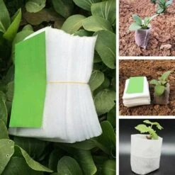 500 Pcs Sacs à Plantes Non Tissé, Sacs Biodégradables Tissu Non Tissé Pour Plantes Semis Sacs De Croissance D'élevage Pour Les Tomates, Les Fleurs, Les Plantes Et Plus - Blanc - 8 × 10 Cm, Versailles -Outsunny Eda Magasin 83755131 4