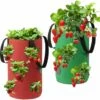 Sac Plante Non Tissé, Sac Plante Fraise Respirant, Sac Plantation Suspendu, Sac Culture Fraises, Sac Semis Fraises Jardinage, Sac Fraise Avec Poignées, Sac Fraise Jardin -Outsunny Eda Magasin 85564738 1